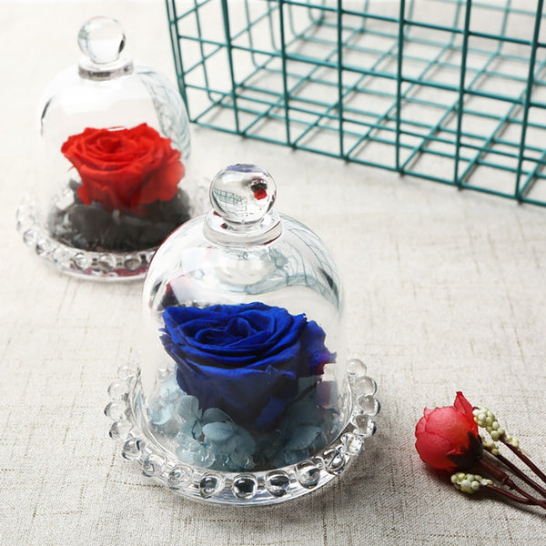 vraie rose eternelle rouge et bleue