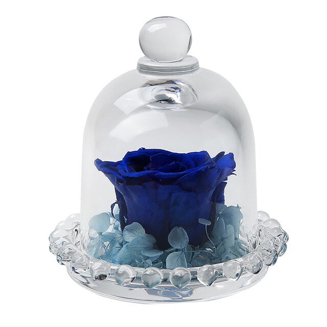 vraie rose eternelle sous cloche bleue