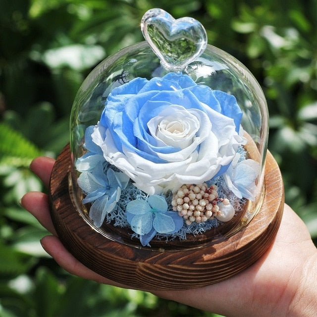 rose eternelle bleue sous cloche