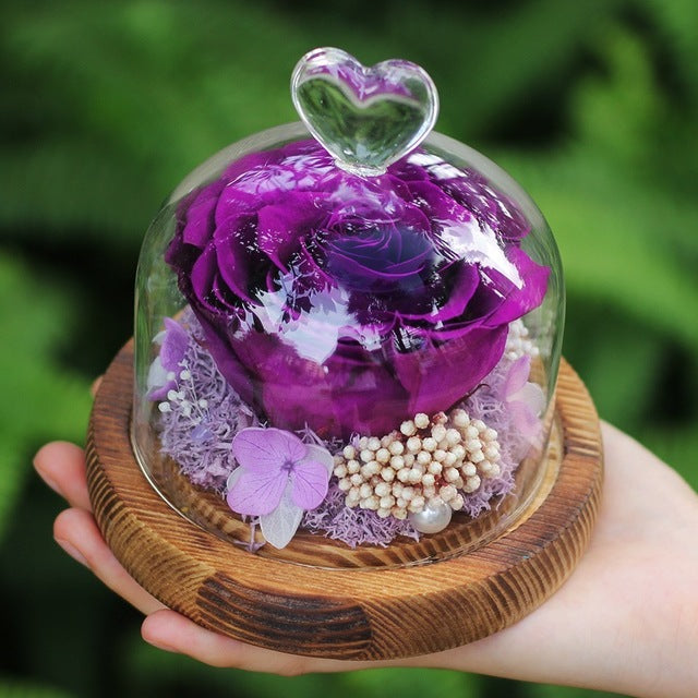 rose eternelle fuchsia sous cloche