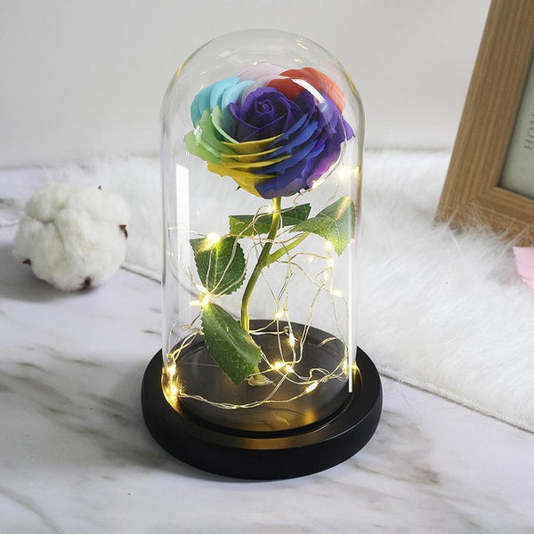 rose eternelle multicolore sous cloche