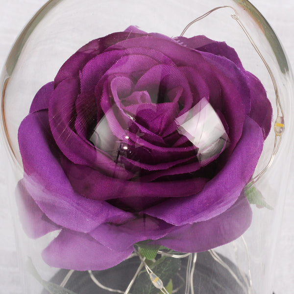 petales rose violette