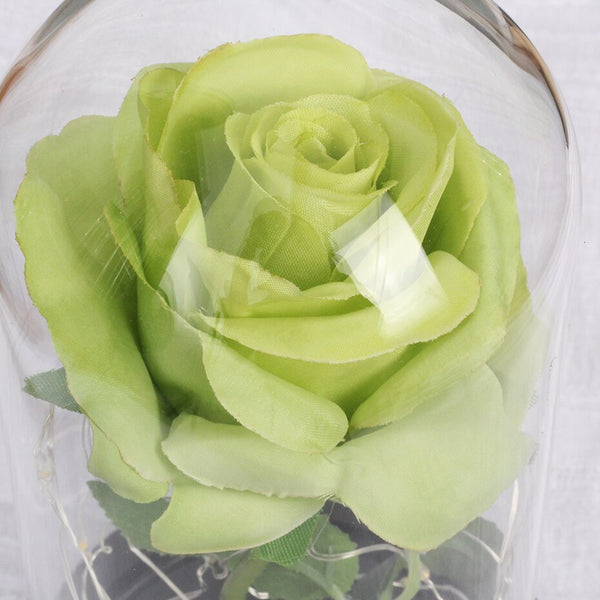 petales de rose verte