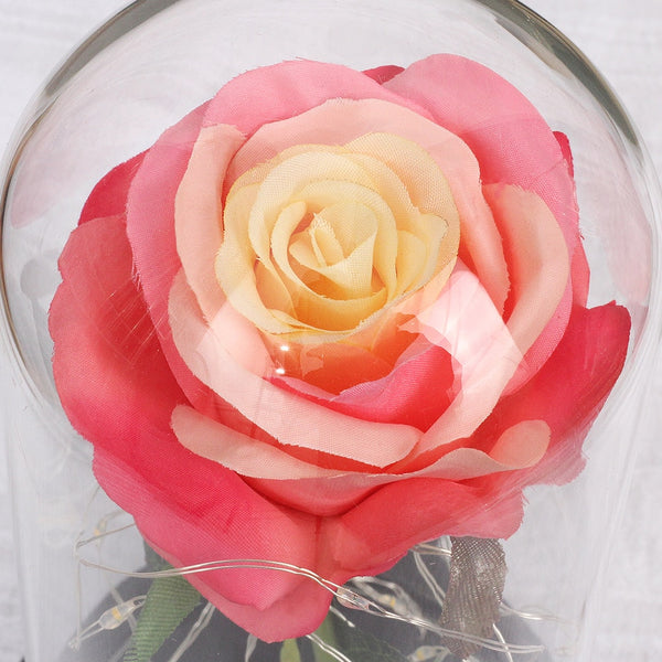 petales de rose rose