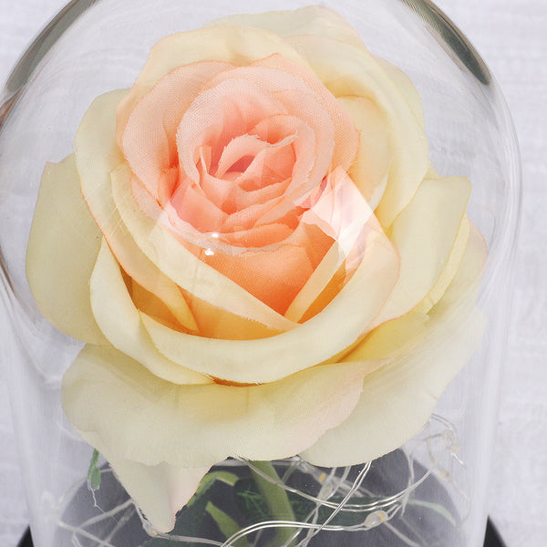 rose eternelle sous cloche avec guirlande