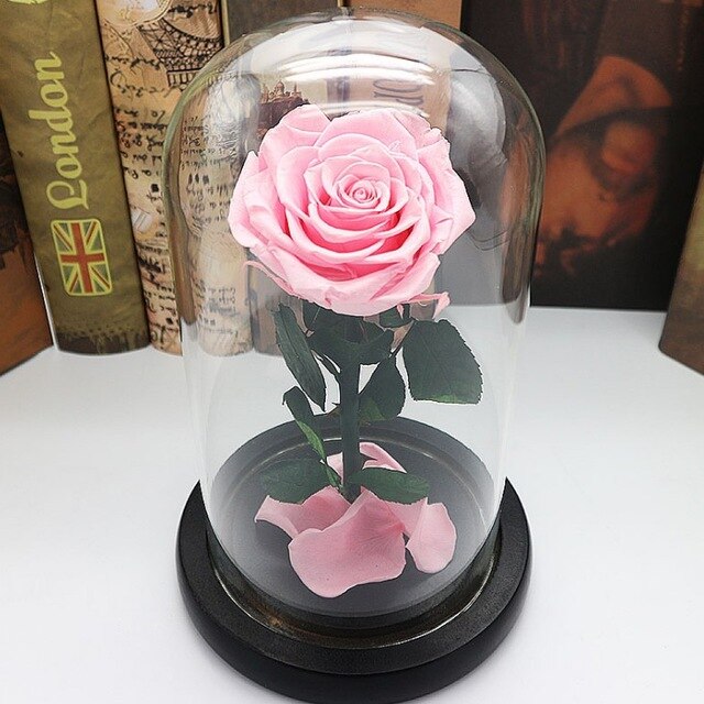 rose eternelle sous cloche peche