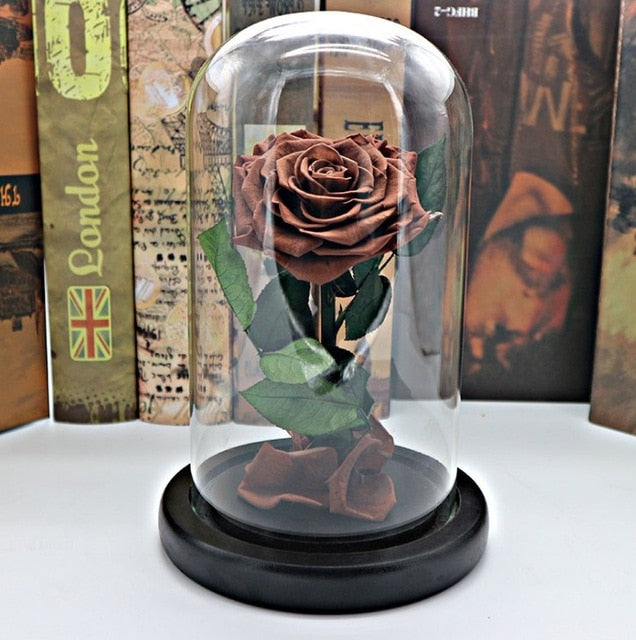 rose eternelle sous cloche marron