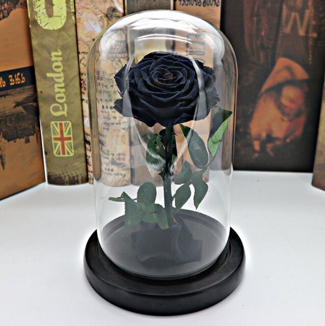 rose eternelle sous cloche noir