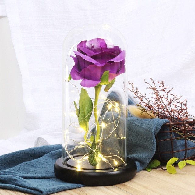 rose eternelle sous cloche avec guirlande