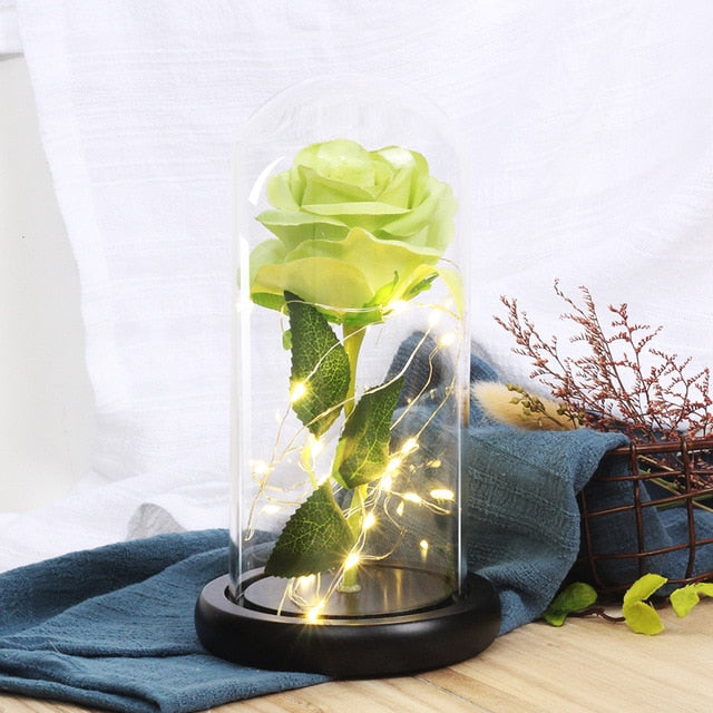 rose eternelle sous cloche avec guirlande verte