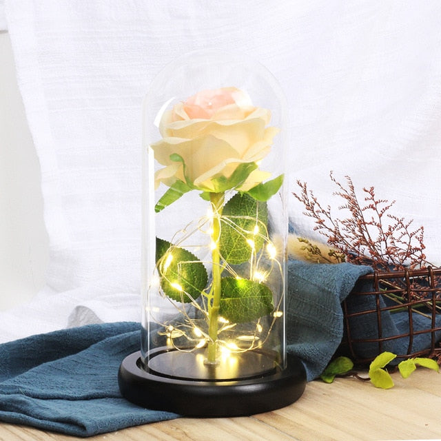 rose eternelle sous cloche avec guirlande peche