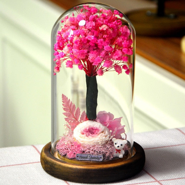 rose eternelle naturel sous cloche rose