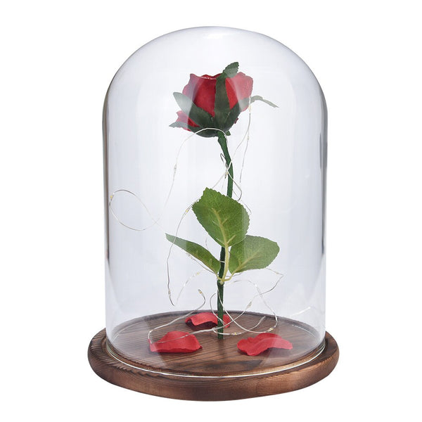 rose eternelle sous cloche grande