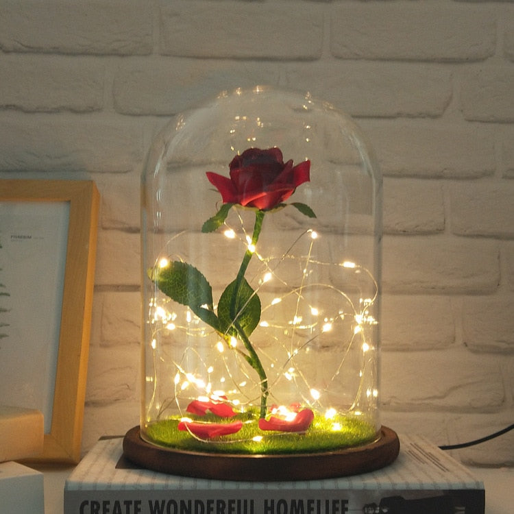 rose eternelle sous cloche XXL