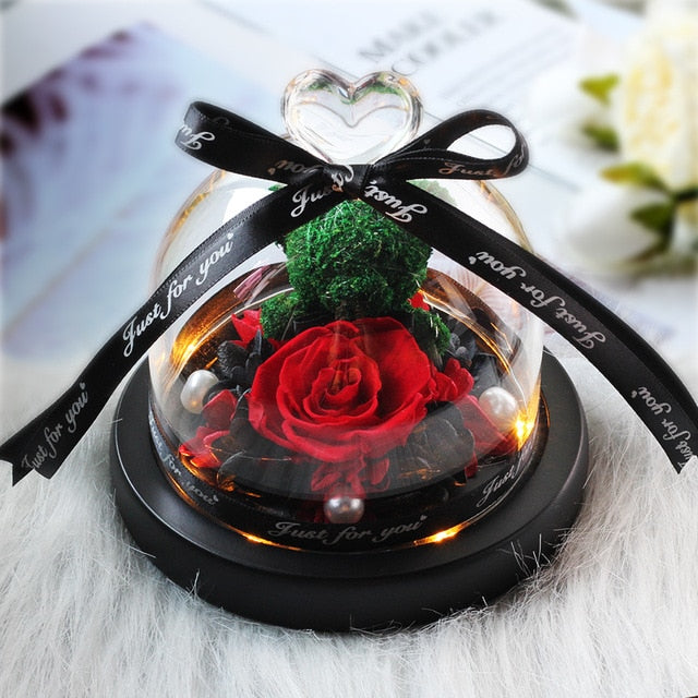 rose eternelle sous cloche ourson vert