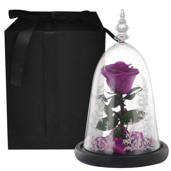 Rose Éternelle Belle et la Bête Violette boite cadeau