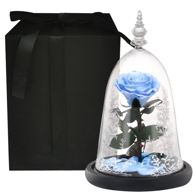 Rose Éternelle Belle et la Bête Bleu Ciel