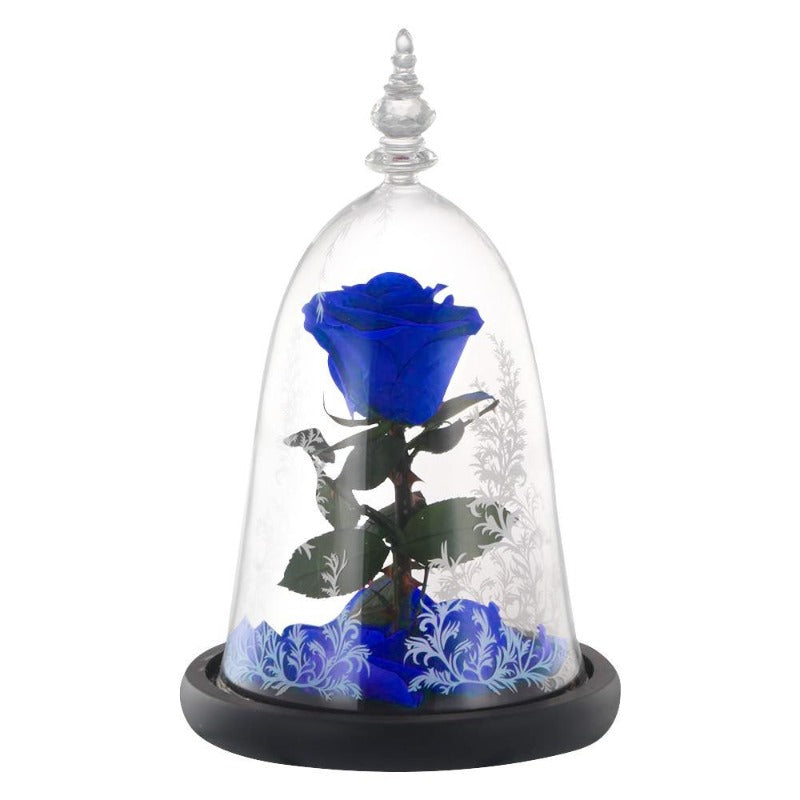 Rose Éternelle Belle et la Bête Bleu