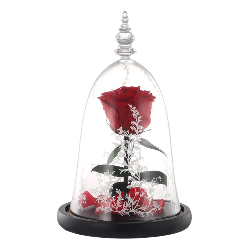 Rose Éternelle la Belle et la Bête