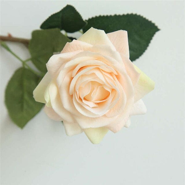 rose eternelle champagne