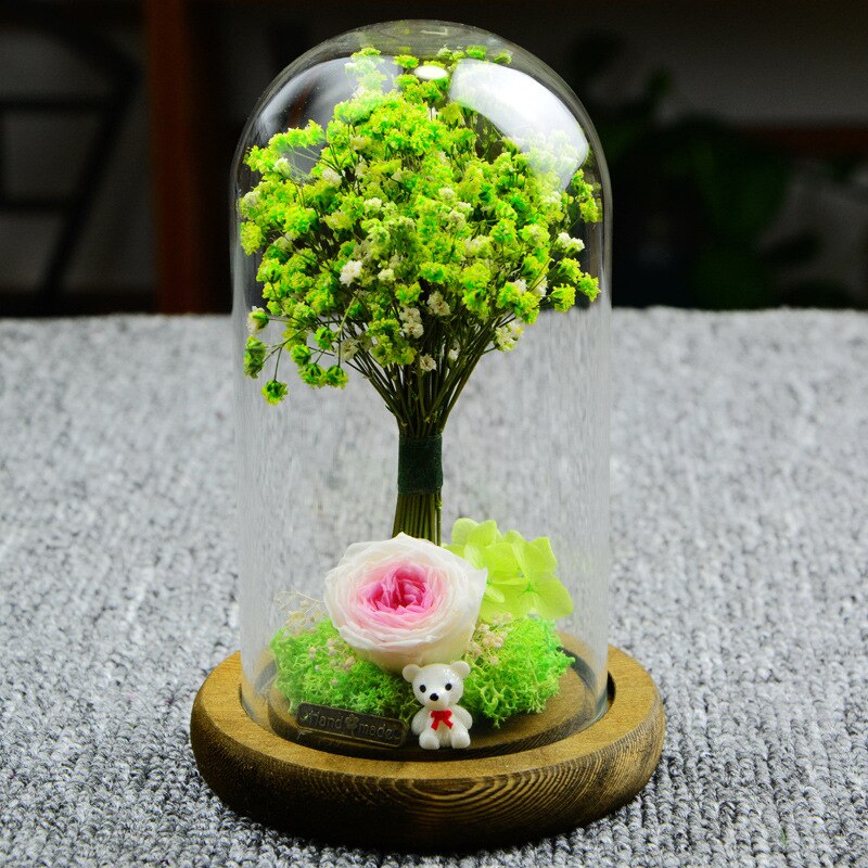 rose eternelle naturel sous cloche