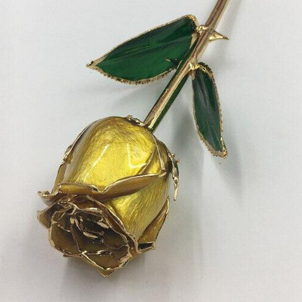 rose eternelle or 24 carats