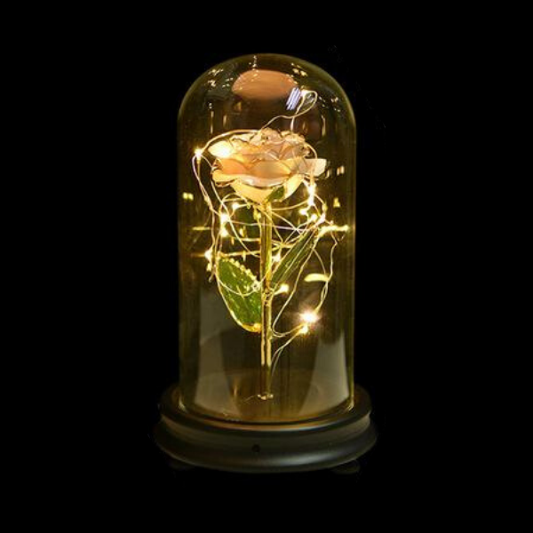 rose eternelle or sous cloche blanc