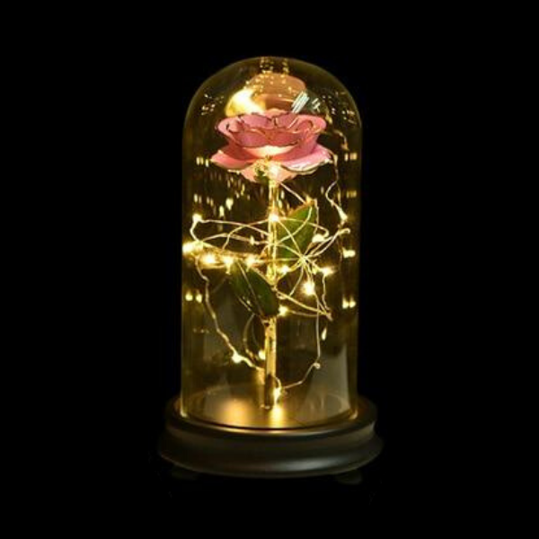 rose eternelle or sous cloche rose