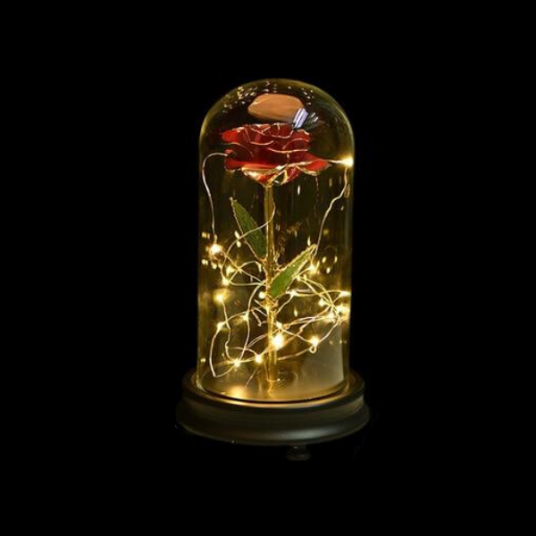 rose eternelle or sous cloche rouge
