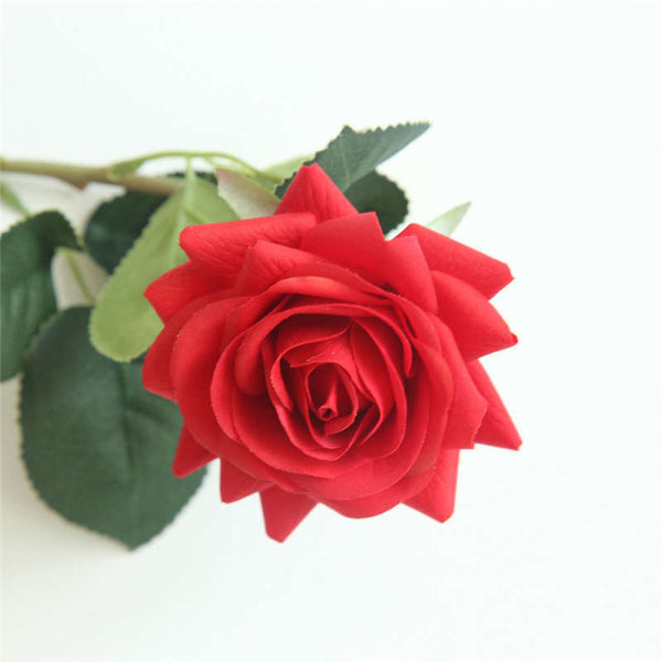 rose-eternelle-rouge