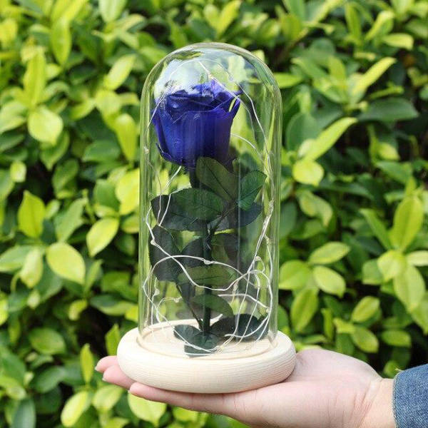 Rose Éternelle sous Verre Bleu | Royaume Éternel
