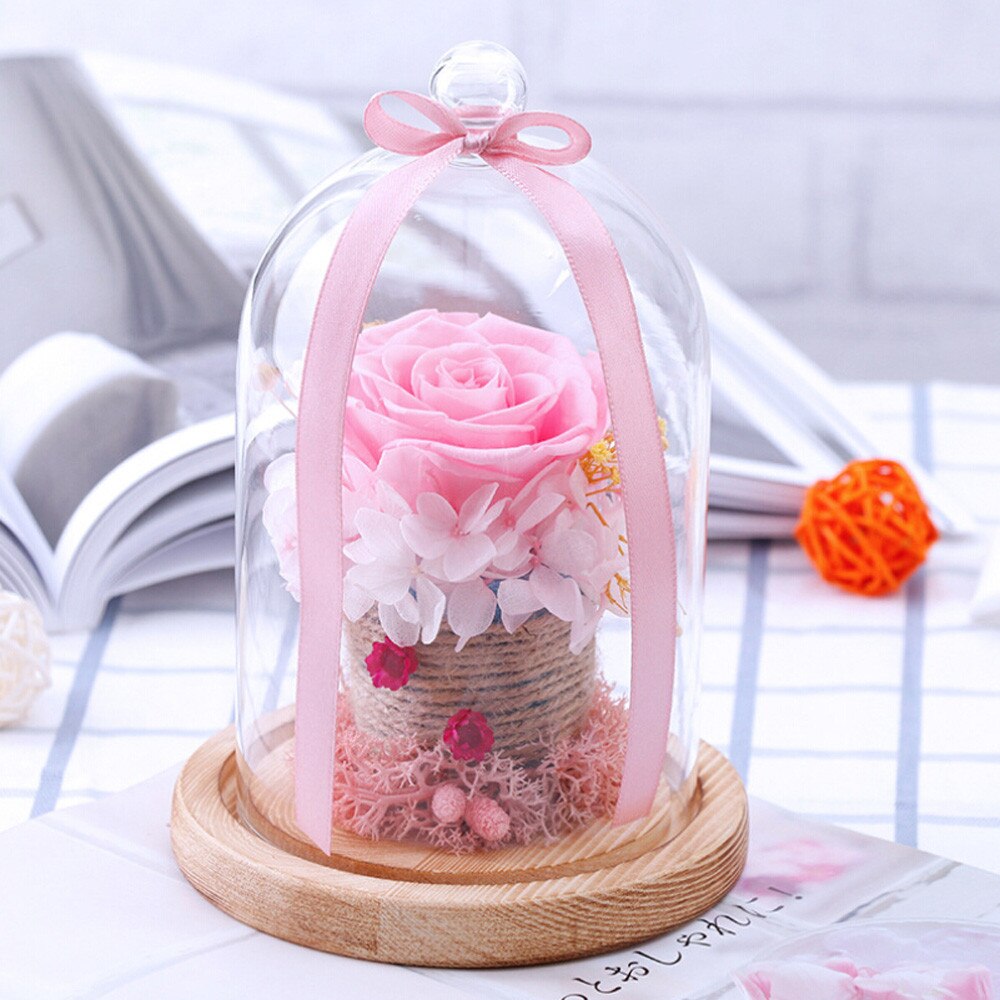 rose eternelle stabilisee sous cloche 