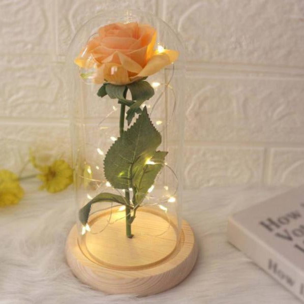 Rose Éternelle Lumineuse Orange | Royaume Éternel