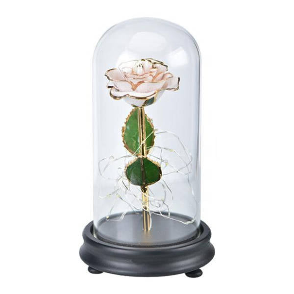 Rose Éternelle or sous cloche Blanc | Royaume Éternel