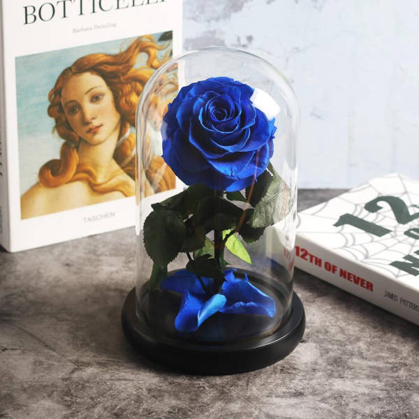 Rose Éternelle sous Cloche Bleu Roi | Royaume Éternel