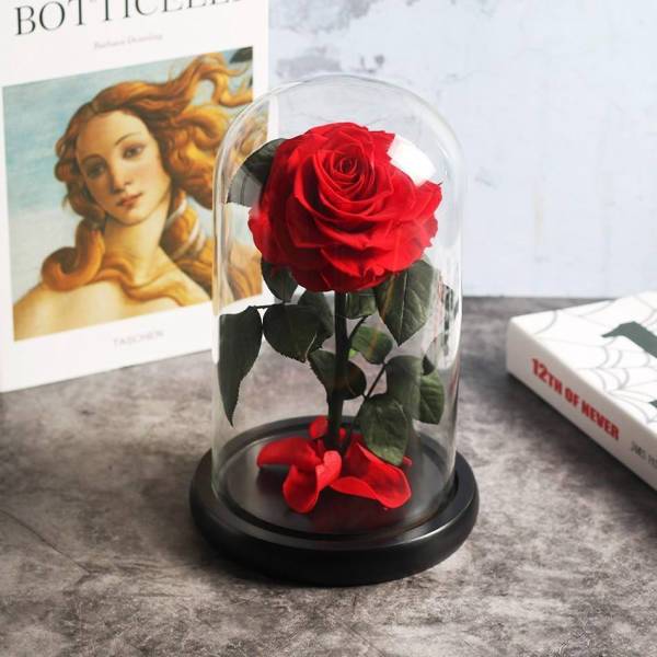 Ours Rose Éternelle Rouge avec boite - Amour Rose Éternelle