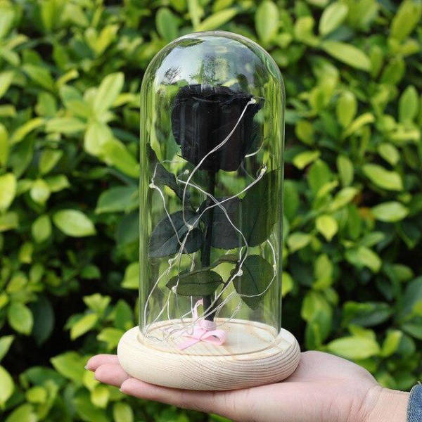 Rose Éternelle sous Verre Noir | Royaume Éternel