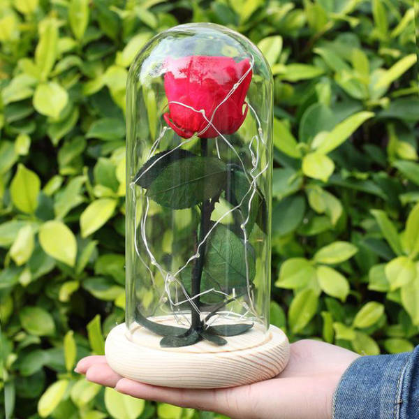 Rose Éternelle sous Verre Rouge | Royaume Éternel