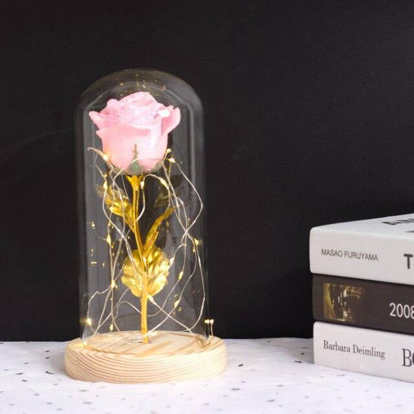 Rose Or sous cloche Rose | Royaume Éternel